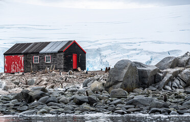 Antarctica, Peninsula: On Wiencke Island in Februar 2020. Wooden building and Penguins at  Port Lockroy  © Angela Meier