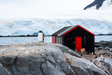 Antarctica, Peninsula: On Wiencke Island in Februar 2020. Wooden building and Penguins at  Port Lockroy  © Angela Meier
