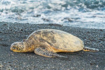 Big Island, Hawaii/USA - September. 29 2019 , Black Sand beach