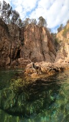 Naklejka na ściany i meble wet dog in a rock in the sea