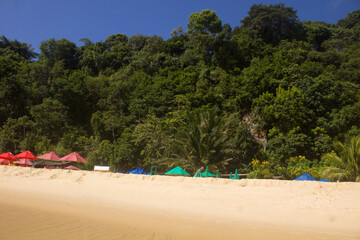 beautiful beach landscape on a very beautiful day