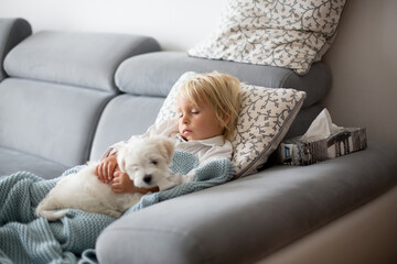 Sick child, toddler boy lying on the couch with his white puppy in living room with fever, resting