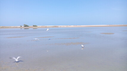 A day out at Rameswaram