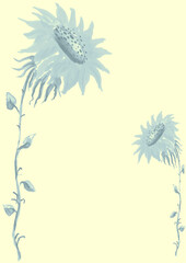 Fototapeta na wymiar watercolor sunflowers. Flower on a white isolated background. Autumn plant. Watercolor logo, element, drawing for your design.