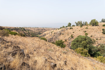 Hills  overgrown with dry grass and small trees in the Golan Heights in northern Israel