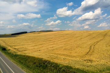 Fototapeta na wymiar Aerial view of yellow agriculture wheat field ready to be harvested in late summer.