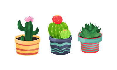 House Plants Growing in Ceramic Flowerpots Vector Set