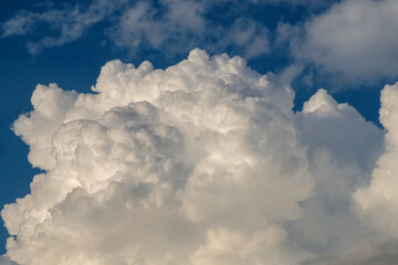 Fototapeta na wymiar 白い雲と青い空のコントラスト