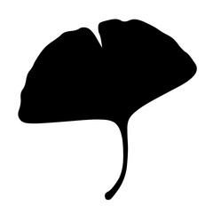 silhouette of Ginkgo  Icho