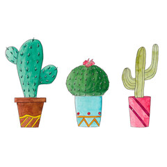 Watercolor hand-drawn illustration set of cactus succulents on white background