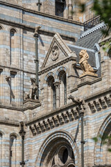 Architectural details featuring various animal sculptures on the fascia of the Natrual History Museum in South Kensington, London, UK