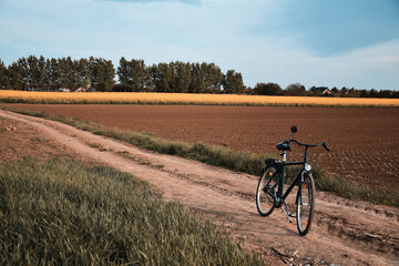 Obraz premium Bicycle on the field. Rural road and agriculture fields