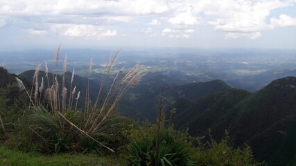 misty morning in the mountains