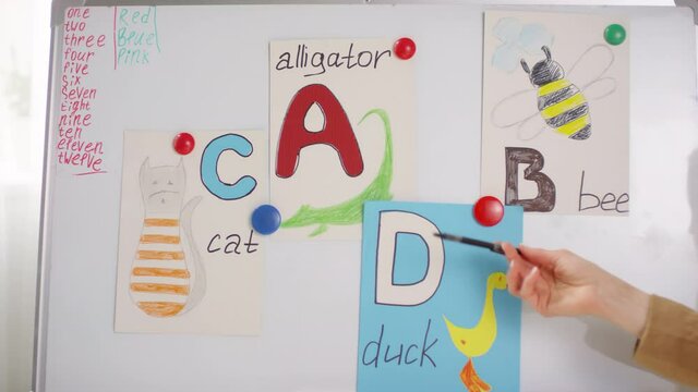 Close up shot of unrecognizable primary teacher pointing at colorful alphabet flashcards hanging on whiteboard