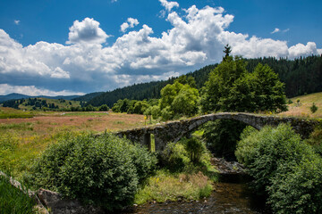 Fototapeta na wymiar An old bridge in the middle of fields and a mountain with trees in the background. Blue sky with white clouds.