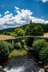 Fototapeta premium An old bridge in the middle of fields and a mountain with trees in the background. Blue sky with white clouds.