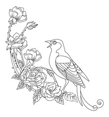 Fototapeta na wymiar Contour vector song bird with flowers composition