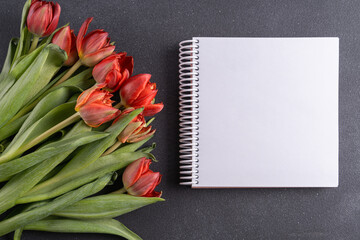 Flat lay Spring tulip flowers and notebook for text on gray background.