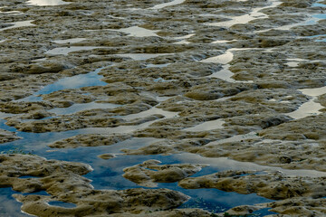 view on the wadden sea of the north sea at low tide near emden