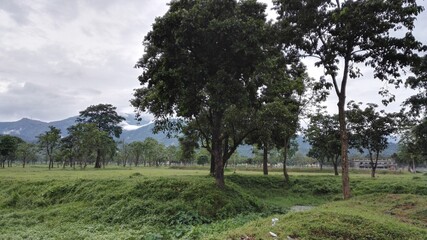 A day out at Siliguri