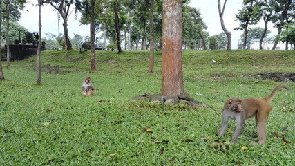 A day out at Siliguri