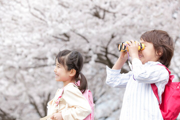 Obraz premium お花見する子供