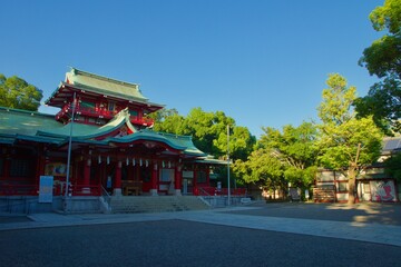 富岡八幡宮夕景　森と神殿