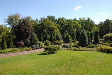 Fototapeta premium garden in the park