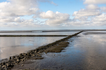 Fototapeta premium view on the wadden sea of the north sea at low tide near emden