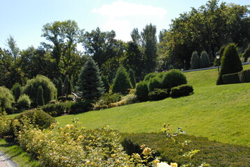 garden in the park