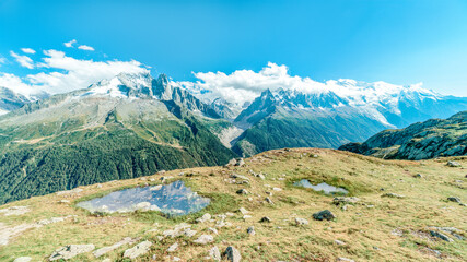 Vue Sur Mer Glaceaiguille Verte