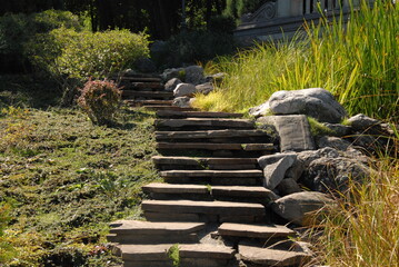 Obraz premium stone stairs in the park