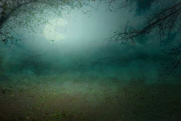 Haunted forest with fog and moonlight background