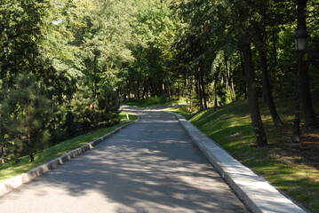 road in the park
