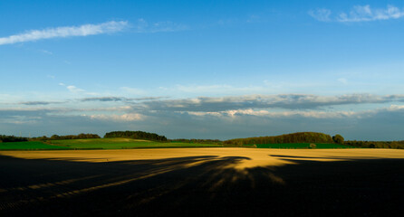 Obraz premium rural landscape in the field