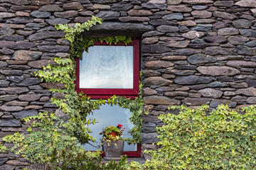 Red window stone wall Irish cottage with flowers and ivy growing on the windowsill. Co Kerry,...