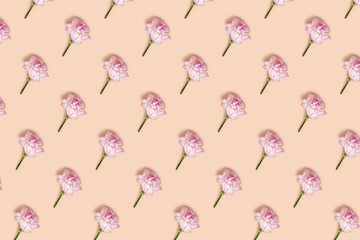 Carnation flowers pattern on a beige background. Creative concept.