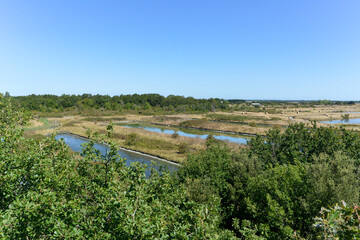 Obraz premium Marais aux oiseaux, 17550 ,Dolus d'Oléron, Ile d'Oléron , Charente Maritime