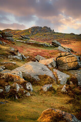 dartmoor national park devon england uk  © pbnash1964