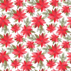 watercolor pattern with red christmas flowers and spruce branches, on a white background close-up