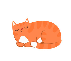 Vector illustration of illustration of cute red cat in various poses