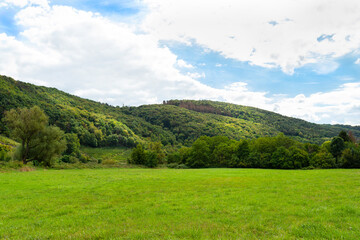 Fototapeta na wymiar A green meadow in the valley, in the background trees growing on hills and a cloudy sky.