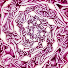 Obraz premium Macro shot of purple cabbage texture. Food background. Close-up macro view of red cabbage, scotch kale, high resolution. Organic food. View from above. Copy space. Vertical shot.