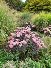 Obraz premium Garten