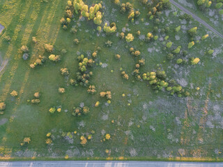 Aerial top down view of meadow with green grass and many groups of trees near road. Air shot of the field with many free standing trees on edge of the highway. 