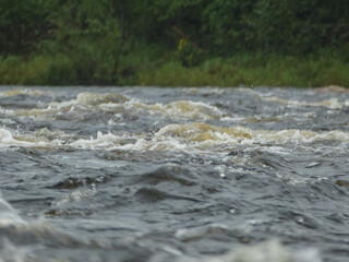 mountain Northern river with big waves forest on the background