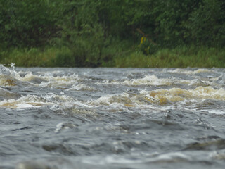 mountain Northern river with big waves forest on the background