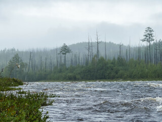 mountain Northern river with big waves forest on the background