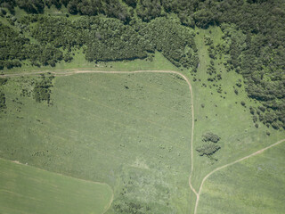 Aerial view of the outer wood with footpath at summer day. Edge of the forest and field with green...