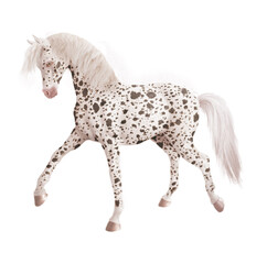 cheval, chien, animal, blanc, dalmate, isolé, animal de compagnie, noir, mammifère, étalon, poney, course, galop, canidae, animal de compagnie, nature, illustration, fond blanc, crin, de race, beau, d